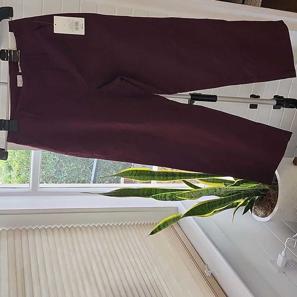 A New Day Maroon Chinos, Size 2
